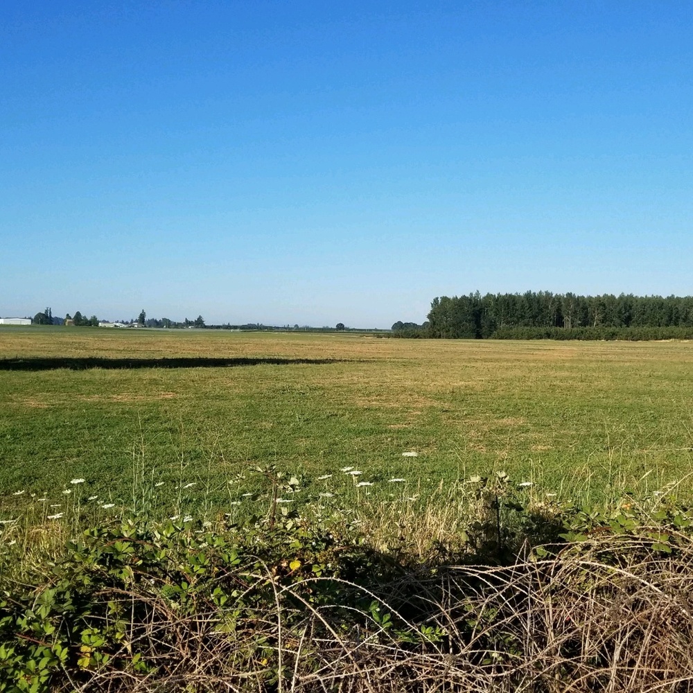 Meet your Posher, Nikki